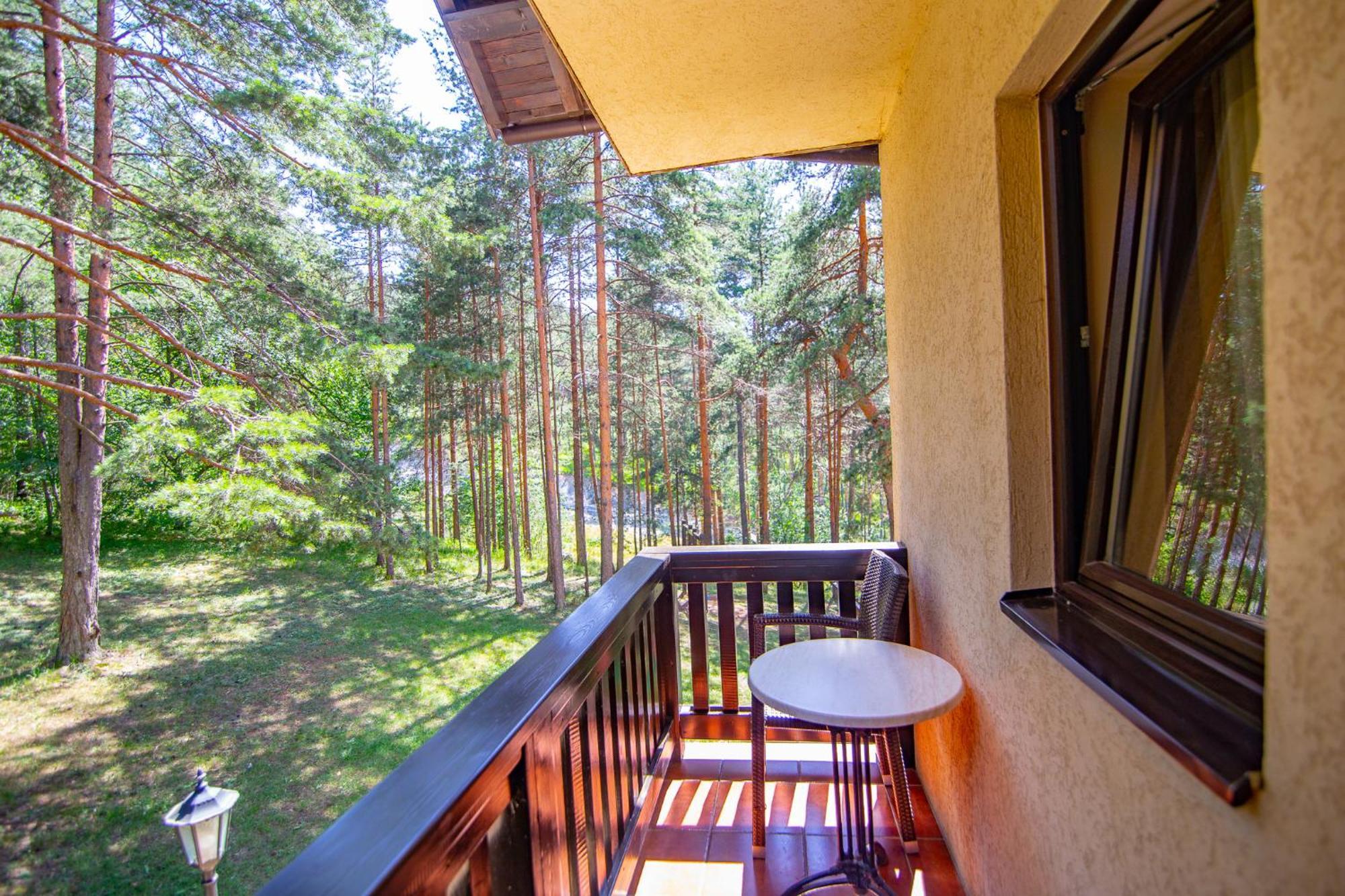 Vila Pina Zlatibor Extérieur photo