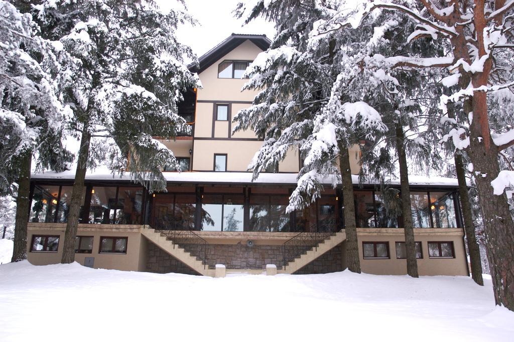 Vila Pina Zlatibor Extérieur photo